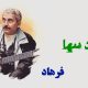 نت فارسی مرد تنها فرهاد