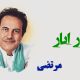 نت فارسی انار انار مرتضی