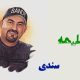نت فارسی حلیمه سندی