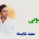 نت فارسی قربونی سعید شایسته