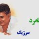 نت فارسی نامزد سرژیک